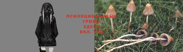 мет Зеленокумск