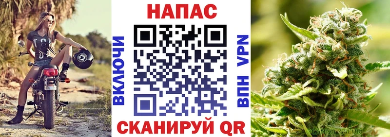 Конопля планчик  где продают   Липки 